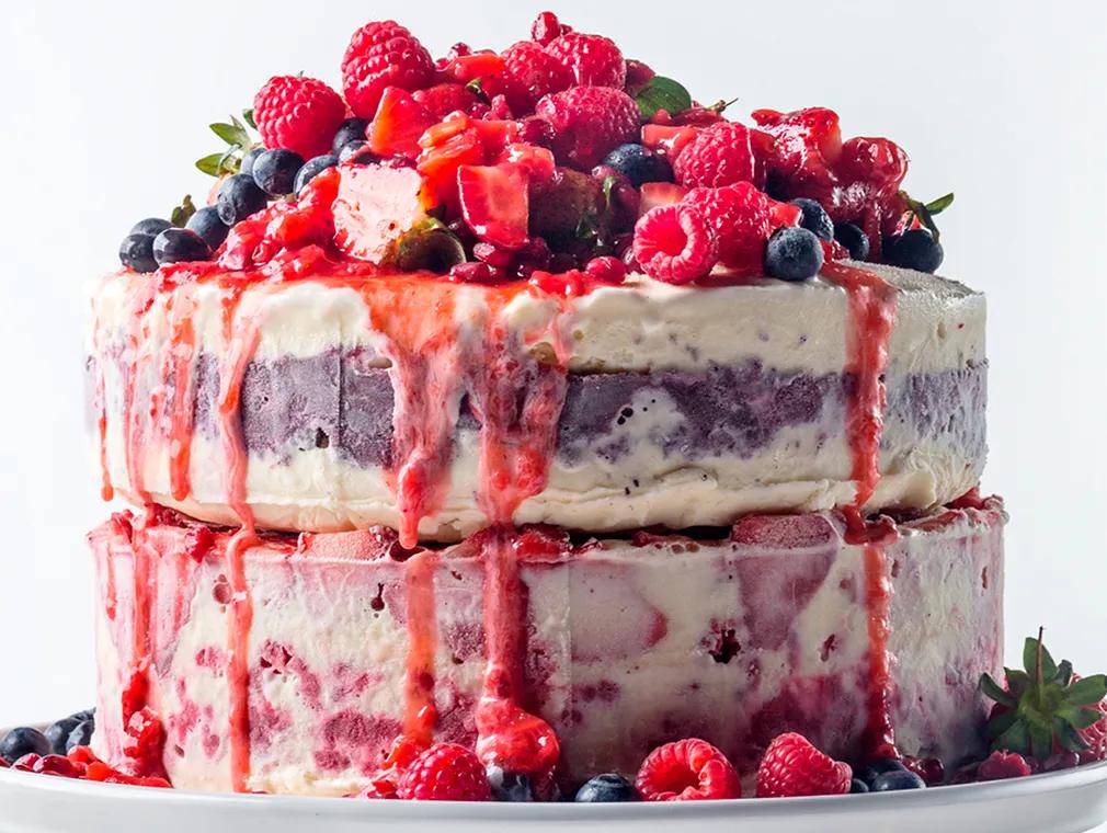 Frozen Ice Cream Summer Fruit Cake